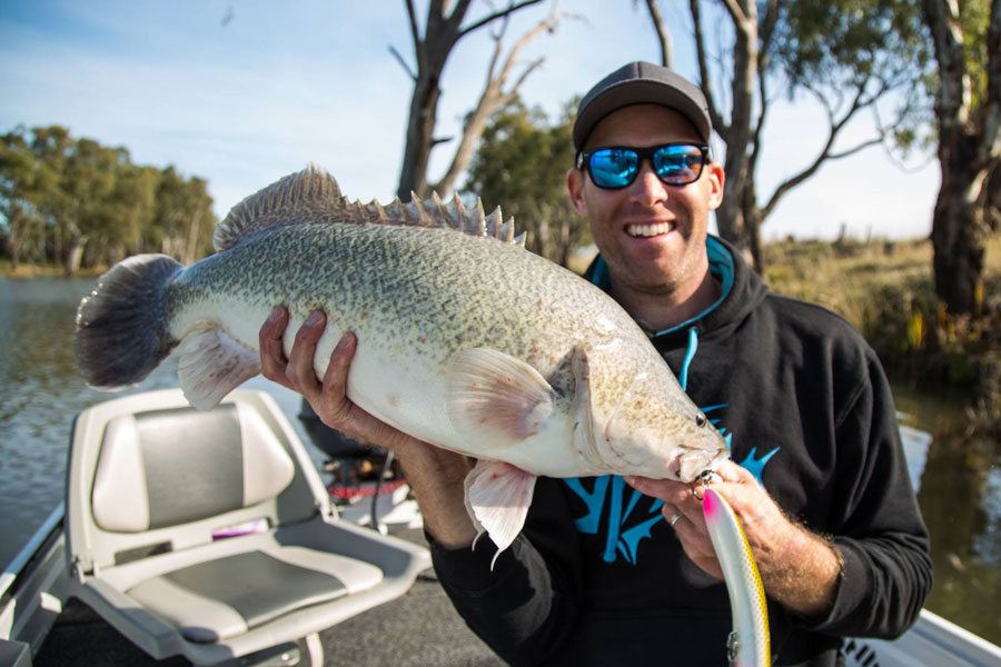 Murray Cod caught using White Crow 190mm in JF colour