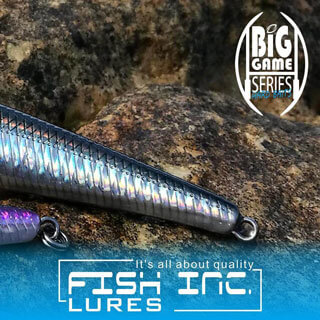 Fish Inc Wng 120mm stickbait fitted with Owner Trebles